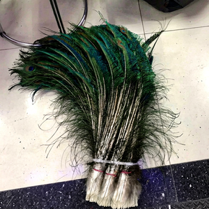 Plumas de pavo real teñidas naturalmente en verde y azul para disfraces de carnaval, danza y manualidades. - Product Image 1