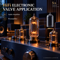 Amplop Kaca Tabung Vakum Transparan Khusus untuk Pembuatan Amplifier Audio HiFi