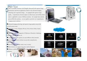 Pemindai <span class=keywords><strong>Ultrasound</strong></span> Portabel Dokter Hewan Peralatan <span class=keywords><strong>Ultrasound</strong></span> Kuda Hewan <span class=keywords><strong>Laptop</strong></span> <span class=keywords><strong>Ultrasound</strong></span> Doppler Warna untuk Dokter Hewan - Product Image 5