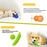 Grappig piepend schattig interactief kauwspeeltje voor honden - tandenreinigend duurzaam milieuvriendelijk