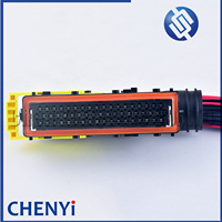 Connecteur étanche automobile 55 broches/voies, module de faisceau de câbles pour camion, prise PLD A0045450426 pour Mercedes DJ7552-3.5-21 1718248-1