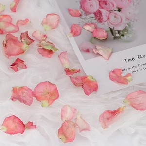 Pétales de rose séchés en gros de Chine / Pétales de rose dorés / Pétales de rose blancs pour le bain - Product Image 2