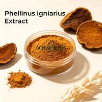 Gestandaardiseerd Phellinus Igniarius extractpoeder 10%-50% polysacchariden Zwarte Hoefzwam extract voor supplementen
