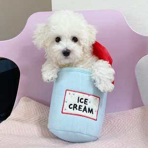 Seau à glace en peluche pour chien, résistant aux morsures, mignon et tendance, avec trois boules, jouet à mâcher, écologique, interactif, usage quotidien, vente en gros - Product Image 3