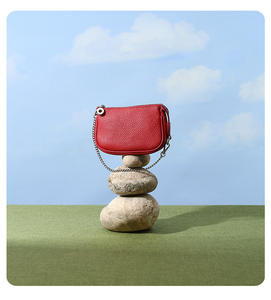 ¡Novedad <span class=keywords><strong>de</strong></span> 2025! Bolso <span class=keywords><strong>de</strong></span> mano <span class=keywords><strong>de</strong></span> cuero para mujer, <span class=keywords><strong>diseño</strong></span> <span class=keywords><strong>de</strong></span> bolso axilar Simple con cadena, cierre <span class=keywords><strong>de</strong></span> cremallera suave, forro <span class=keywords><strong>de</strong></span> cuero genuino - Product Image 2