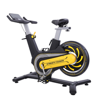 Vélo d'appartement magnétique intelligent de haute qualité pour usage domestique, avec volant d'inertie de 6 kg, pour entraînement cardio unisexe en intérieur - En promotion