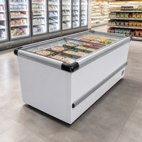 Congélateur coffre horizontal commercial à double porte grande capacité pour la conservation de la viande à usage domestique et en supermarché