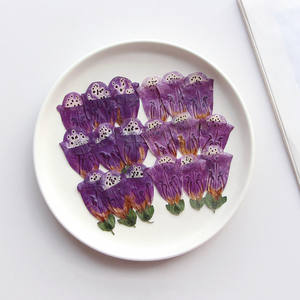 All'ingrosso fai da te materiale essiccato digitale purpurea fiori pressati per Nail Art gioielli in resina decorazione di candela da cartolina - Product Image 1