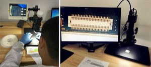 <span class=keywords><strong>PIC16F886</strong></span>-E /Sp ใหม่และต้นฉบับจัดส่งที่รวดเร็ว BOM รายการใบเสนอราคาในสต็อกวงจรรวมแขนไมโครคอนโทรลเลอร์ MCU - Product Image 4