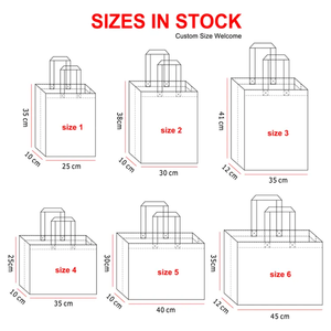 Wholesale Customized Recyclable <strong>Fabric</strong> Shopping <strong>Bag</strong> Promotional PP TNT Non-Woven <strong>Bags</strong> Manufactured in Bulk - Product Image 5