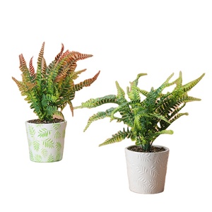 Mini oliviers artificiels en céramique émaillée <span class=keywords><strong>de</strong></span> haute qualité avec <span class=keywords><strong>pot</strong></span> en porcelaine <span class=keywords><strong>pour</strong></span> la décoration <span class=keywords><strong>de</strong></span> la maison, petite plante - Product Image 2