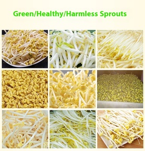 Năng suất cao 30kg mỗi ngày <span class=keywords><strong>Mung</strong></span> giá đỗ Máy làm nóng Bán đậu mầm Máy làm sạch đậu nảy mầm máy - Product Image 4