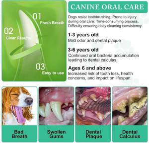 Polvo de Limpieza Dental para <span class=keywords><strong>Perros</strong></span> Pevet, Cuidado Dental, Elimina el Sarro y el <span class=keywords><strong>Mal</strong></span> <span class=keywords><strong>Aliento</strong></span>, Reduce la Placa, Polvo Dental para la Limpieza de Dientes de <span class=keywords><strong>Perros</strong></span> - Product Image 3