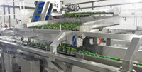 Ingeblikt Plantaardig Ingeblikt Voedsel Komkommer Inblikken Productielijn