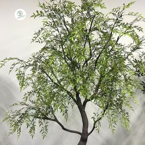 <span class=keywords><strong>Nandina</strong></span> 180-250cm olivier artificiel intérieur décoration de maison et d'hôtel 8ft-10ft matière plastique - Product Image 5