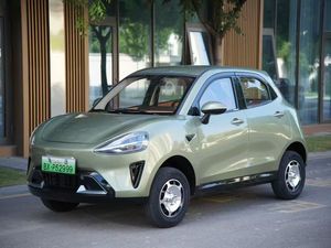 Modelo <span class=keywords><strong>de</strong></span> alta calidad Producto caliente Venta 3000W New Energy Auto Adult 4 Wheel Electric Car Mini car para ancianos <span class=keywords><strong>de</strong></span> la fábrica <span class=keywords><strong>de</strong></span> China - Product Image 5