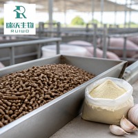Extracto de Planta Halal, Extracto de Ajo en Polvo, Allicina Estandarizada al 10%, Certificado Kosher, Sin GMO, Extracto de Planta Vegano, COA