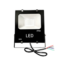 Projecteur LED numérique programmable RGB RGBW DMX512 de haute qualité DC24V 50W 100W, étanche pour extérieur, éclairage de scène