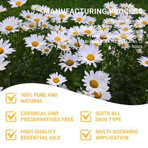 Olio Essenziale di Camomilla Distillato a Vapore 100% <span class=keywords><strong>Naturale</strong></span> (Matricaria Recutita) per Pelli Sensibili, Certificato COA e MSDS - Product Image 2