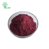 Natuurlijk Zwarte Wortelsap Poeder Zwarte Wortel Fruitextract