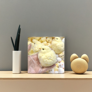 TABA Mignon Poussin de Pâques Kawaii en Peluche, Jouet Anti-Stress Unisexe en Forme de Poulet Mochi, Vente Chaude pour Enfants - Product Image 2