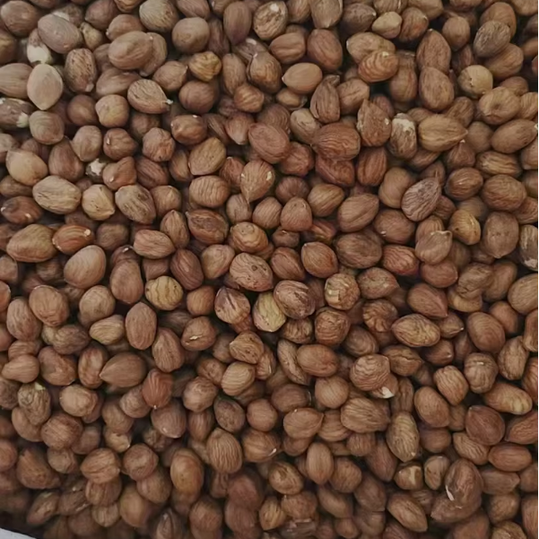 Organic Fresh Chestnuts Sweet Dried Snack