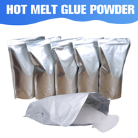 Xingyan haute qualité écologique TPU adhésif PET Film thermofusible blanc DTF poudre pour imprimante DTF transfert de chaleur impression vêtement