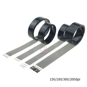 Kualitas baik 150dpi Encoder Film Raster untuk Flora Inkjet Printer 150LPI Encoder Strip