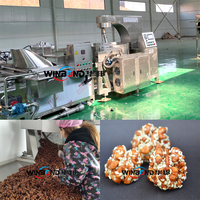 Ligne de production WINBOND sucre miel noix émaillées arachides noix machine de caramélisation noix arachides machine