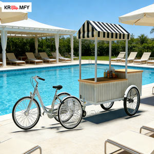 Chariot de vente ambulante pour glaces, mini congélateur commercial, chariot à main pour glaces mexicaines, chariot à main pour glaces - Product Image 6