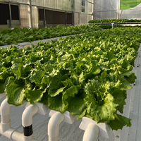 Système hydroponique NFT horizontal de haute qualité pour l'agriculture intérieure, canal en PVC, systèmes hydroponiques NFT commerciaux