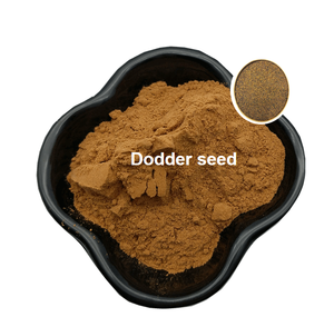 Herbal Supplement Male Strong Powder <strong>Dodder</strong> Seed <strong>Extract</strong> - Product Image 2