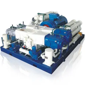 Station GNC Gaz naturel Hydrogène Azote Compresseur haute pression pour le transport de gaz/Application marine