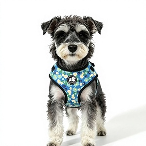 Arnés Extensible para Perros Pequeños y Medianos, Estilo Chaleco, con Diseño Floral, de Poliéster, Marca Habili, Correa para Pasear, Venta al Por Mayor - Product Image 1
