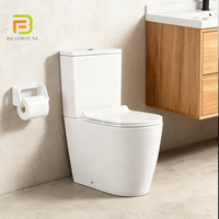 WC à chasse d'eau de style chinois, cuvette en céramique noire, toilettes en porcelaine, toilettes en deux pièces pour salle de bain, hôtel