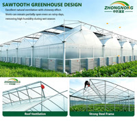 Serres Agricoles Professionnelles et Serres Commerciales Intelligentes pour Fermes, Serres de Pépinière, Usine Chinoise Exportatrice de Tunnels Polytunnel