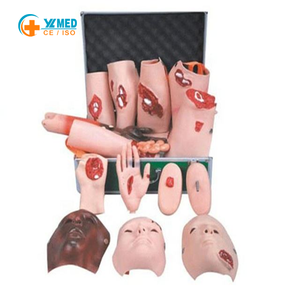 Simulador Multifuncional de Heridas y Traumatismos Humanos de 43 Módulos para Ciencias Médicas, Modelo de Cuidado Personal para Educación de Enfermería, Maniquí con Certificación CE/ISO - Product Image 1