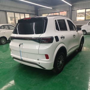 Nuevo SUV Eléctrico de Baja Velocidad con Autonomía de 301-400 km, Motor de 200-250 kW, Carga Rápida - Promoción por Tiempo Limitado - Product Image 6