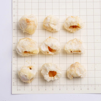 Hoogwaardige groothandel gezonde gedroogde lychee FD gevriesdroogde lychee FD voedsel 100% puur natuurlijk
