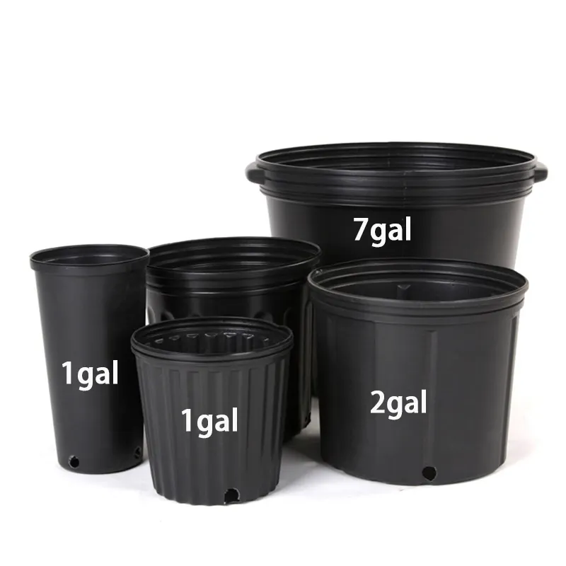 Vaso da giardino con gallone da vaso di piante in plastica nera