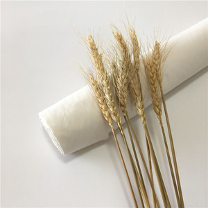 Bán buôn 100% bông vải màu xám rapier Loom vải màu xám vải bông màu xám hoặc T/C grey vải tẩy trắng cho shirting vải - Product Image 5