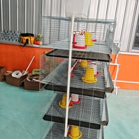 Vente flash : Cage à poulets en acier à 3/4 niveaux, capacité de 90 à 240 oiseaux, cage à batterie pour poussins, cage à poulets