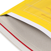 Enveloppe d'expédition en carton auto-adhésive DHL Express avec fenêtre pour facture