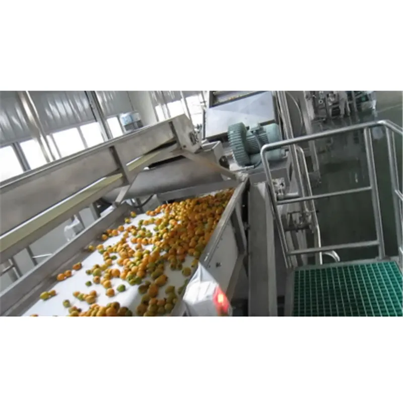 Complete turnkey project fruit mango orange extractor extraction machine juice production line and packaging processing plant