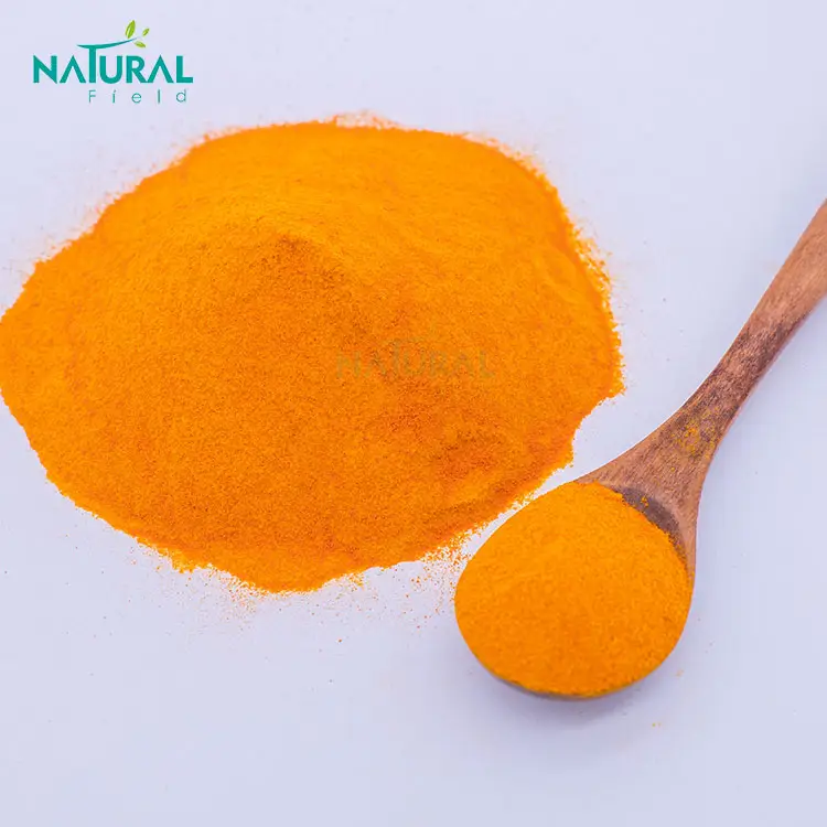 Bulk Natura Turmeric Root Extract Powder 95% Curcumin Extract Powders Food Grade Curcumin Powder