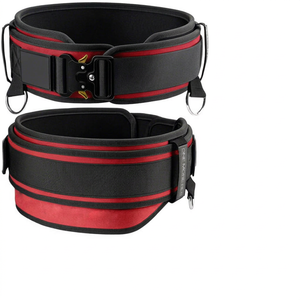 Cinturón Profesional para Levantamiento de Pesas para Entrenamiento en Gimnasio, de Caucho Natural y PVC, Impermeable y Resistente al Viento, Unisex, por BURAQ MMA SPORTS - Product Image 1