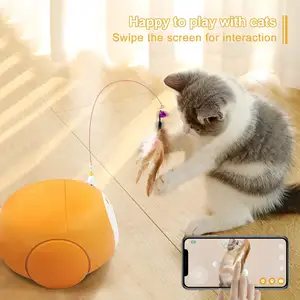 Factory Direct Sale Pet Camera Robot Interactive Electric Cat Soft Stuffed Automatic Teaser Toy