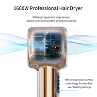Professionnel 5 en 1 Hair Styler Bigoudi lisseur et sèche-cheveux à ions négatifs sèche-cheveux Multi-Styler