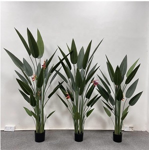 Ndoor-Oración de 180cm, - Product Image 5