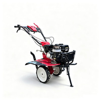 TENGAO Prix de gros 173 motoculteur diesel rotatif 180 °   Motoculteur agricole à poignée réversible, mini-cultivateur haute puissance